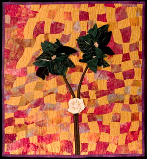 Photo by ThirdEyePhotog.com