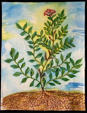 Photo by ThirdEyePhotog.com